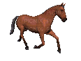 cavalo gif-l - GIF animado grátis