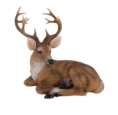 cerf fawn autumn reh deer herbst automne   animal    spring   tube - PNG gratuit