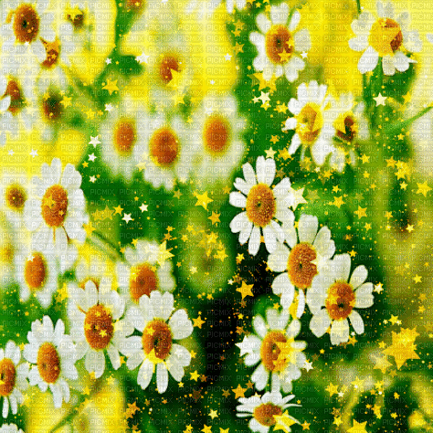 background hintergrund fondo flowers milla1959 - Besplatni animirani GIF