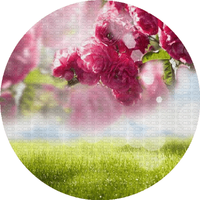 fleurs flower - PNG gratuit