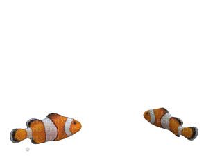 fish katrin - GIF animé gratuit