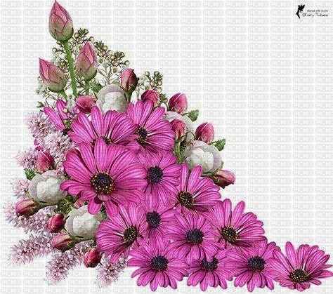 Pink Flowers - png gratuito