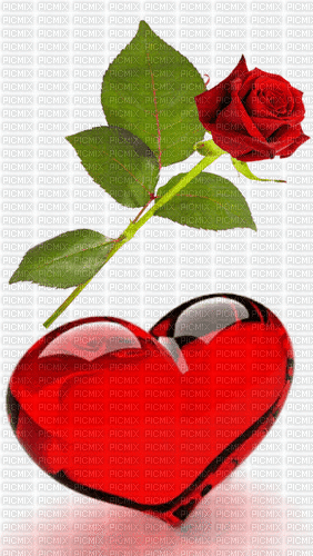 Rose & coeur - GIF animé gratuit
