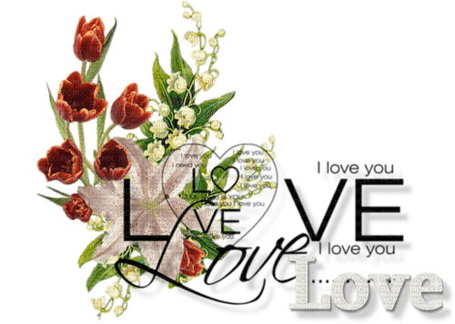 loly33 texte love - PNG gratuit