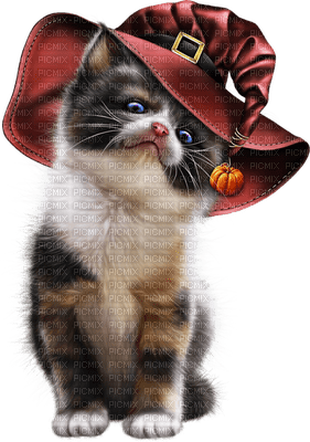 Kaz_Creations Halloween-Autumn-Cats-Cat-Kitten - kostenlos png