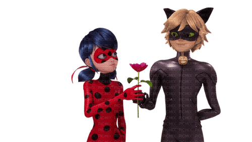 ladynoir ladybug and Chat Noir  miraculous - ilmainen png