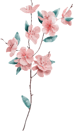 soave deco animated branch flowers spring - GIF animate gratis