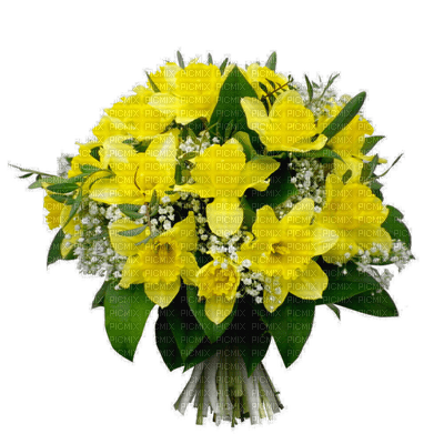 chantalmi fleur bouquet jonquille jaune - besplatni png