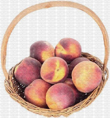 fruit - zdarma png