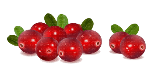 cranberries Bb2 - zdarma png