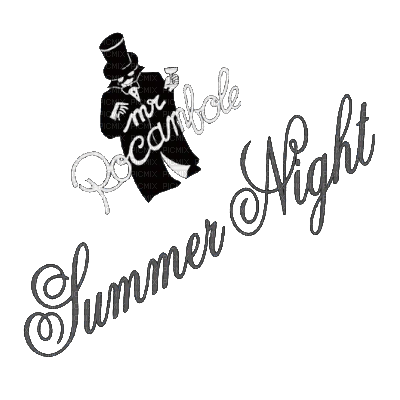 Mr Rocambole Summer Night - Free PNG