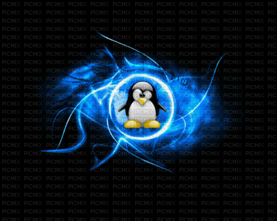 pingouin fond - PNG gratuit