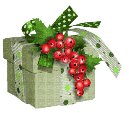 Geschenk, Schachtel, Box, Beeren, Grün - png grátis