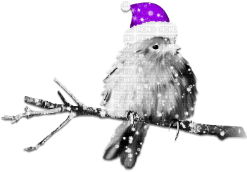 soave deco bird branch christmas winter black - kostenlos png