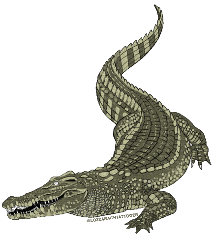 Lizard Crocodile - GIF animasi gratis
