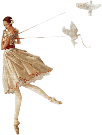 ballerina ballerine woman femme - gratis png