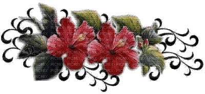 Hibiscus - Gratis geanimeerde GIF