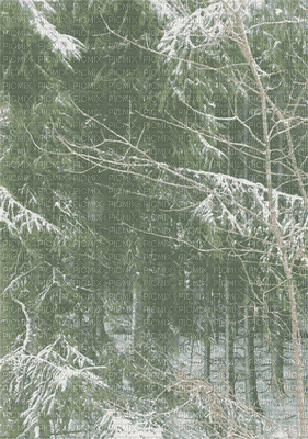 Paysage.Winter.Victoriabea - Nemokamas animacinis gif