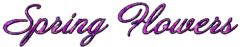 Animated.Spring.Flowers.Text.Purple - Безплатен анимиран GIF