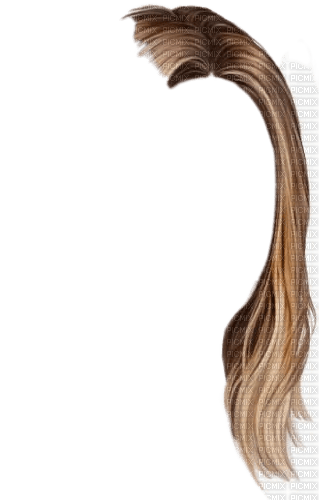 cheveux chatain - 無料png