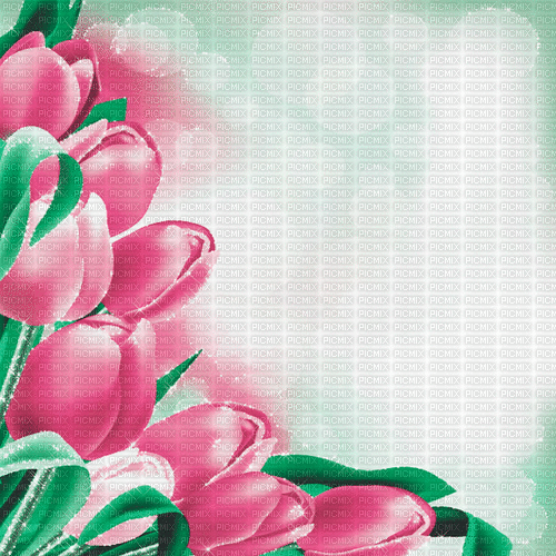 green pink tulpen milla1959 - Бесплатни анимирани ГИФ