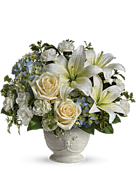 Kaz_Creations Deco Flowers Vase Plant  Colours - Free PNG
