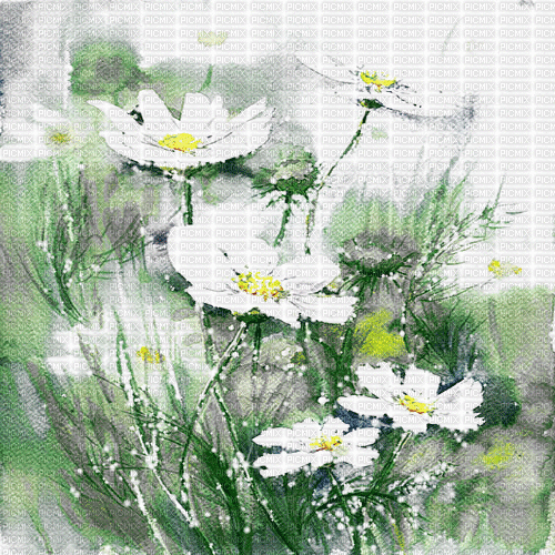 dolceluna background animated daisy flower - GIF animasi gratis
