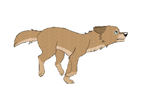 ani hund---dog - 無料のアニメーション GIF