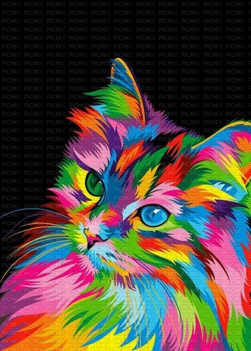 chat coloré - gratis png