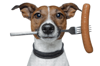 Kaz_Creations Dog Pup Dogs - besplatni png