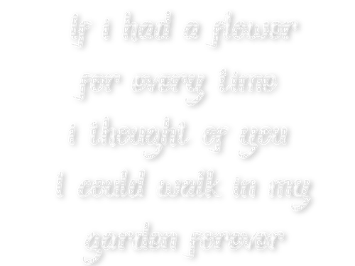 ..:::Text-If i had a flower:::.. - gratis png
