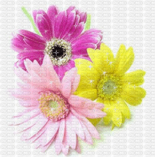 Glitter Flowers - Free animated GIF