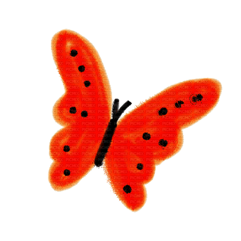 Butterfly.Papillon.Mariposa.gif.Victoriabea - GIF เคลื่อนไหวฟรี