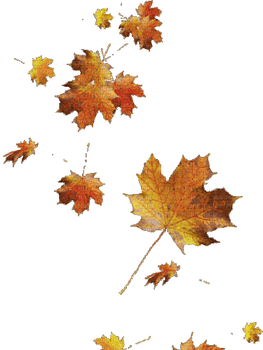 Листья - Gratis animeret GIF