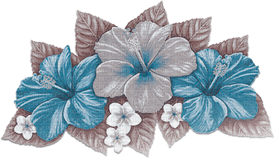 soave deco summer flowers tropical  blue brown - PNG gratuit