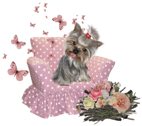 dolceluna spring dog pink butterflies chair - kostenlos png