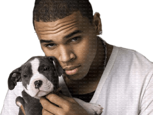 Chris Brown - zdarma png