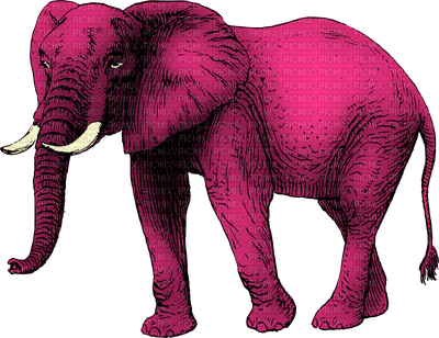 pink elephant - Free PNG