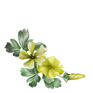 flower-yellow - png gratuito