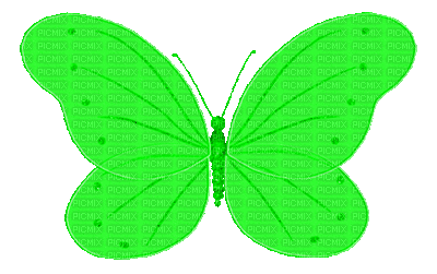 Kaz_Creations Deco Butterfly Colours - GIF animé gratuit