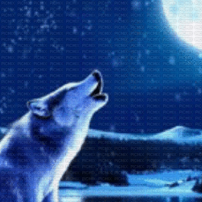Loup-Bonne nuit - GIF animé gratuit