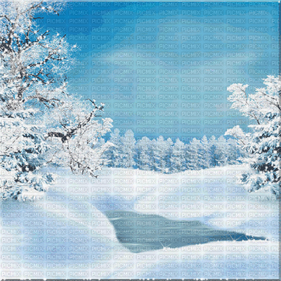 kikkapink winter snow animated background - Ilmainen animoitu GIF
