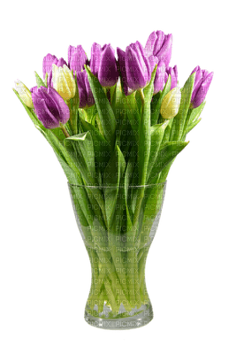 spring printemps frühling primavera весна wiosna tube deco flower fleur blossom bloom blüte fleurs blumen  tulips pot vase - PNG gratuit