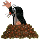 Mole - Darmowy animowany GIF