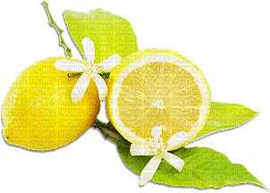soave deco summer fruit lemon branch yellow green - ücretsiz png