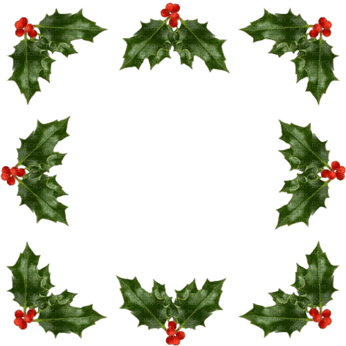 Holly Frame - Free PNG