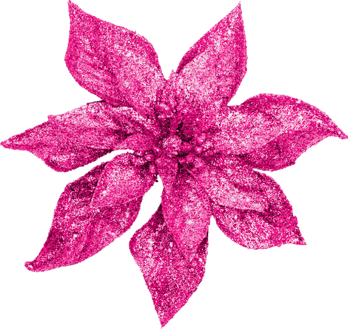 Christmas.Flower.Pink - Free PNG