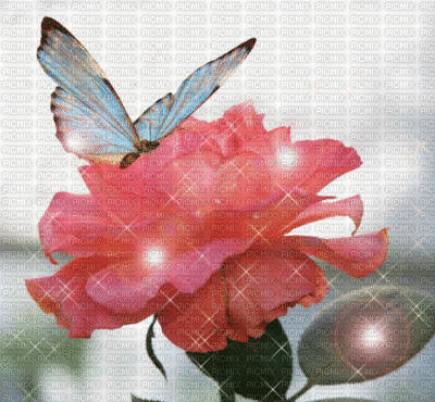 Цветя - Darmowy animowany GIF