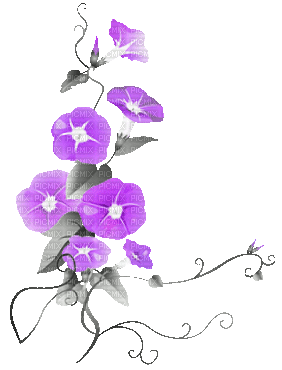 soave deco flowers spring branch animated - Free animated GIF