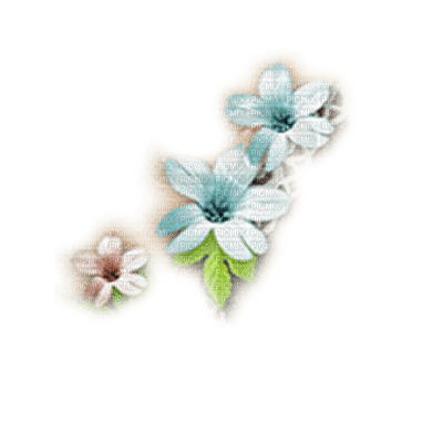 flores  dubravka4 - 免费PNG